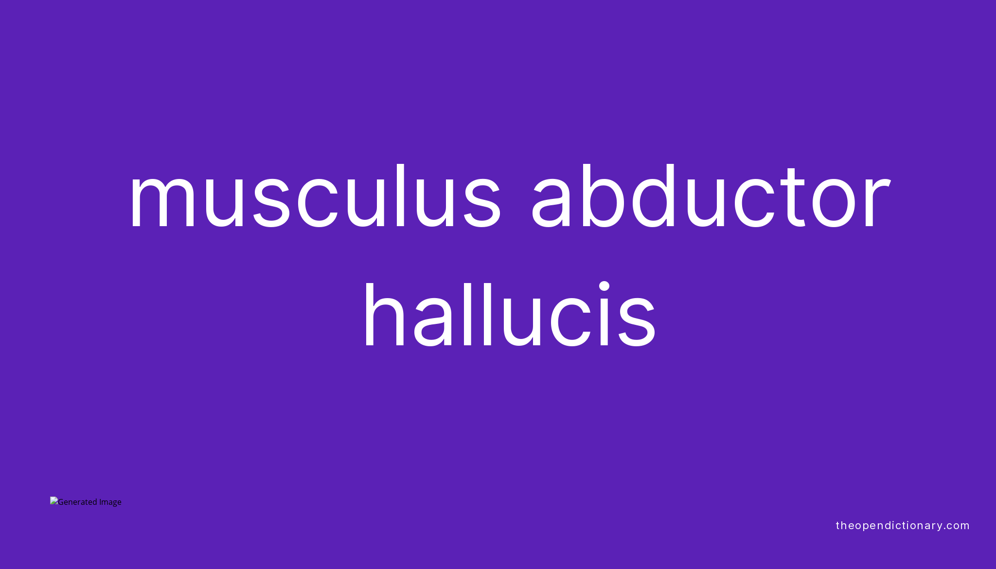 musculus-abductor-hallucis-meaning-of-musculus-abductor-hallucis